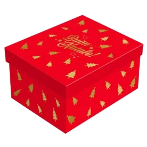 10 Pack Nested Christmas foil print Gift Boxes Paper Rigid Box Stackable Holiday Present Packaging Box for Xmas Gift Wrapping