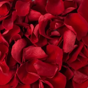 100% Real Preserved Red Rose Petals, Long-Lasting 3-5 Years, for Wedding Confetti and Parties