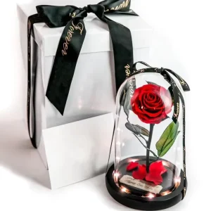12*20cm Beauty Beast Style Preserved Rose Glass Dome Flower Box