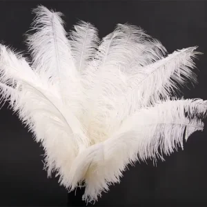 14-16″ Ostrich Spads Feather for Centerpieces Feather Costumes Carnival Burlesque Headdress Decorations