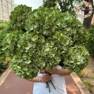 144 Petals Large Head 22 cm Green Silk Artificial Hydrangea Decorative Flowers & Plant for Wedding & Party