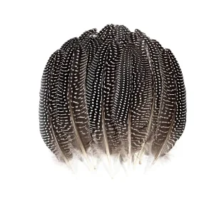 15 20cm Natural Guinea Fowl Wing Quills HandiCrafts Carnival Hat Decoration Feathers Party Decor Hat Making Raw Stock
