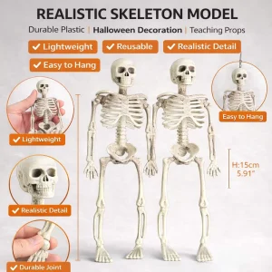 15cm Mini Plastic Skeleton Model with Skull for Halloween Hanging Party Decor and Teaching Props