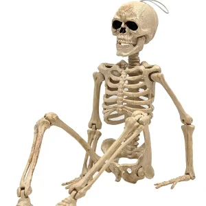 16 Inch Plastic Halloween Skeleton Full Body with Movable Joints and Lanyard for Indoor Outdoor Decorations