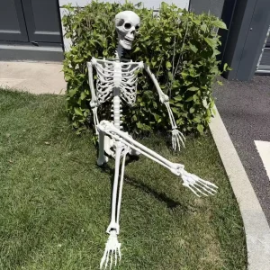 185cm Life Size Posable Plastic Skeleton for Halloween Decoration