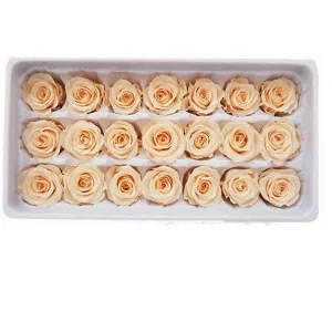 2-3 cm Mini Preserved Rose Eternal Flowers for DIY Gift Box