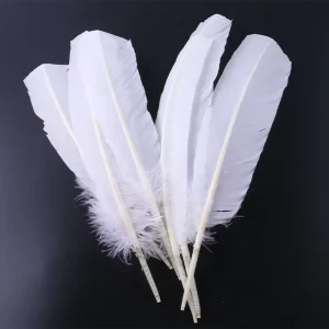 20-30cm Dyed Colorful Turkey Feathers for Costume Craft Wedding Decoration