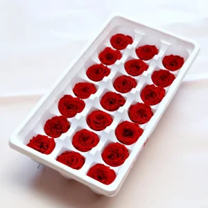 21pcs Box Handmade Preserved Roses