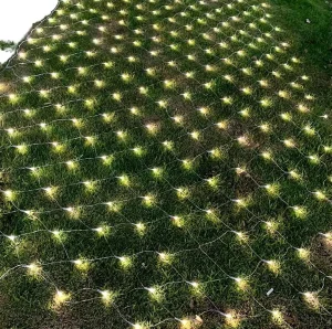 220V PVC Wire 3mx2m Outdoor Christmas LED Net Light for Festive Decorations