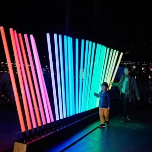 240V Shorten LED Christmas Lights for Shopping Mall Outdoor Decoration Holiday Lighting Product