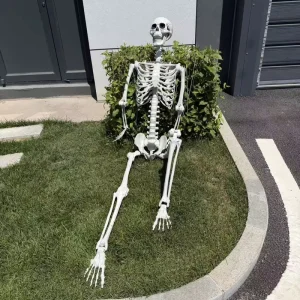 240cm Life Size Skeleton Halloween Decoration for Outdoor Yard and Haunted House