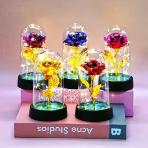 24k Gold Forever Rose Flower Light String in Acrylic Dome Valentine’s Mother’s Day LED Galaxy Eternal Rose in Plastic Dome
