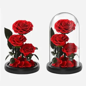 3-Piece Preserved Red Rose Glass Dome Set with LED for Wedding, Christmas, Anniversary and Graduation Gifts