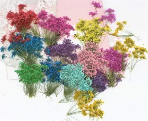 3D Dried Flower Bookmark DIY Long Stem Lace Gypsophila Thin Branch Umbrella Tiny Blooms Long Cover Decor Dried Flower
