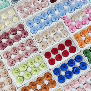 4-5cm High Quality Decorative Flower Preserved Roses Customized Color for Mother’s Day Christmas