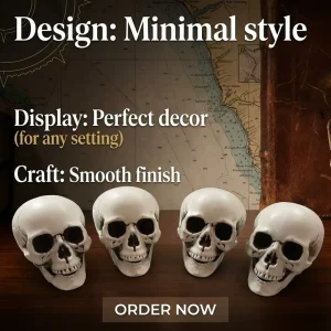 4 Pack Plastic Human Skull Models for Halloween Haunted House Decor
