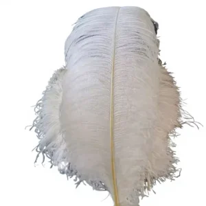 45 50cm Drabs Bulk Real Art Carnival Costume Large Purple Feathers Plume Millinery White Ostrich Feather for Wedding Decoration