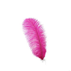 50 55cm Shocking pink Ostrich Feathers Drabs Decoration for Carnival Costumes Table Decoration Dyed Colour Ostrich Feathers