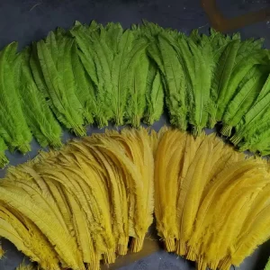 50cm Green Bulk Nandu Ostrich Feathers for Party Home Wedding Vase Decor DIY Craft Floral Hat Millinery Headwear Accessory
