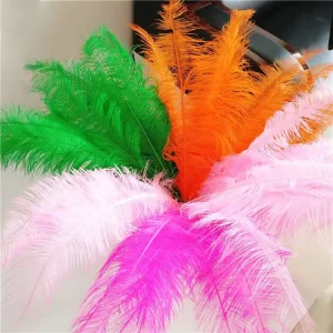 55-60cm Ostrich Sapds Plume Feather for Centerpieces Feather Costumes Carnival Burlesque Headdress Decorations