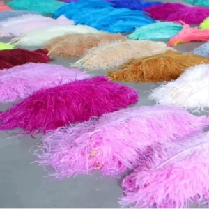 55 60cm Pansy Natural Plume Ostrich Feathers for Party Carnival Home Wedding Centerpiece Vase Holiday Decor DIY Craft Floral
