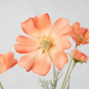 60cm Natural Cosmos Flower Artificial Cloth Mother’s Day Easter Christmas Thanksgiving Halloween Back School Factory Direct