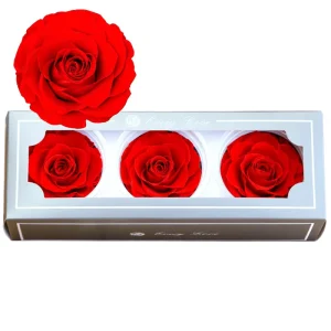 7 8cm a Grade Preserved Rose Heads for Wedding Bouquet Table Arrangement Gift Box Decor