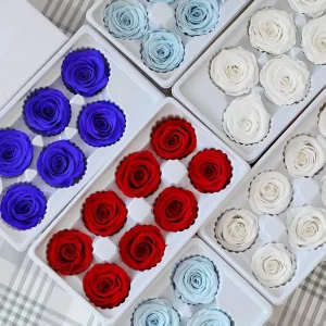 8pcs B Grade Preserved Rose Heads 4 5 cm Elegant for Christmas Mother’s Day Graduation Gift Present for Valentine’s Day