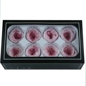 8pcs Real Touch Austin Roses Preserved Forever Flowers Red Back Pink Colors for Graduation Day Mother’s Day