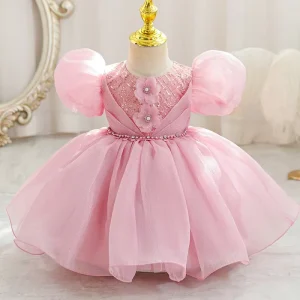 AX282 Elegant Puff Sleeve Tulle Ruffle Princess Kids Party Dress With Lace Appliques For Birthday Celebration