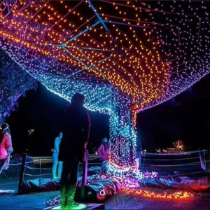Addressable 5M G27 Led Bulbs Festoon Christmas Led String Lights for Holiday Decoration