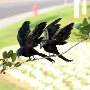 Artificial Crow Halloween Bird Garden Woodland Style Chinese Style Animal Fur Home Decor Scene Venue Mall Display Decoration