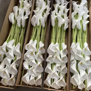 Artificial PU Calla Lily Wedding Centerpiece Bouquet Flowers Real Touch Flowers for Decoration Faux Flower Realistic