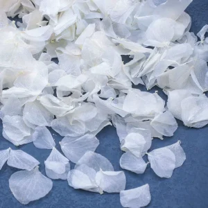 Artificial Rose Petals Big White Multiple Colors Non woven Fabric UV Resistant Waterproof Indoor Outdoor Decor for Mother’s Day