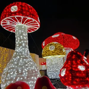 Attraction Photo Spot Lighting Real Estate Holiday Display Custom Motif Light Large Scale Christmas Decor