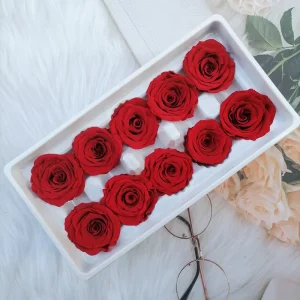 B Grade 8pcs Long-Lasting Natural Dried Rose Heads 3-4cm Perfect for Valentine’s Day Gift Boxes