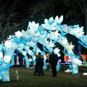 Beautiful Creative Christmas Tree Iron Lantern Big Customized LED Light Graduation Ramadan Good Quality for Garden