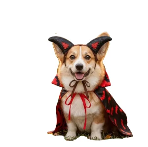 Best Selling Halloween Pet Costume Set for Cats & Dogs with Bat Wing Cape Soft Polyester Fiber Material European American Style