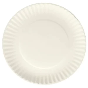 Biodegradable Paper Plates for Eco Conscious Parties Weddings and Outdoor Events