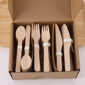 Birch Eco Friendly Biodegradable Cutlery Set Fork Knife Spoon Napkin 100 300 500 Pack Customized Packing for Hotels Restaurants