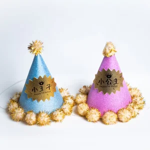Birthday Hat Birthday Kids Party Supplies Happy Birthday Party Supplies