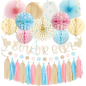 Boho Baby Gender Reveal Decor Light Pink Blue Banner Apricot Paper Lanterns Tissue Pom Poms Tassel