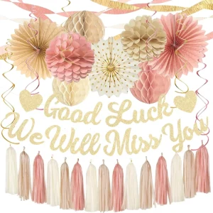 Boho Pink Farewell Decor We Will Miss You Banner Streamers Honeycomb Tassels for Retirement Colleague Party