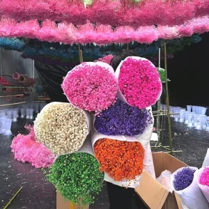 Bright Color Dried and Preserved Broom Bloom Flowers Home Decor Gypsophila