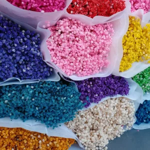 Bright Color Dried and Preserved Broom Bloom Flowers Home Decor Gypsophila