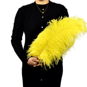 Bulk 40-45cm DIY Craft White Black Long Decor Plume Centerpiece Large Ostrich Feathers for Carnival Party Festive Wedding