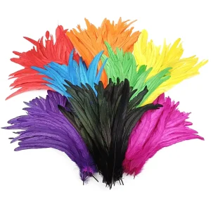 Carnival Feather Trimming Dye Pheasant Feather 25 30cm Rooster Tail Feather for Carnival Headdress Decoration