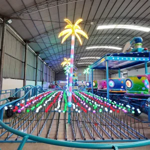Carnival Rides