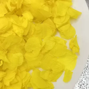 Celebration Party Supplies Wedding Decoration Biodegradable Confetti Petal for Wedding Aisle Decoration Flower Petal