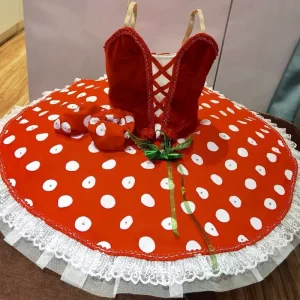 Children’s Ballet Skirt Cherry Radish Variation Performance Costume Red Professional Ballet Tutu Fluffy Gauze Skirt